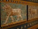 Ancient mosaics that once lined the main road in Bablon. Amazing!