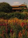Museum garden. The Patan Museum has been called the best museum in the entire Indian Subcontinent.