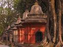 Identical Shiva shrines sit in rows on top of the hill over the temples at Pashputinath.