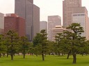 Tokyo, Japan - 135