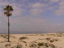 Coronado beach.